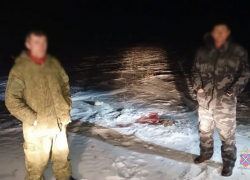 Мясо краснокнижных сайгаков пустили на еду оголодавшие волгоградцы