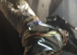 В Волгограде крутой внедорожник сбил двух человек и собаку