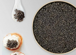 Развлечение и блюда для настоящих волгоградцев