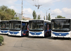 Волгоградцы стали реже ездить на автобусах