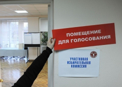Эксперты требуют изучить видео со всех избирательных участков Волгограда 