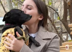 «Единственная выжила там, где всех убили»: история дворняжки Тильды трогает до слез