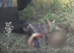 Организаторы убийства Дугиной и диверсии в Брянской области хотели взорвать ТЭК под Волгоградом: видео