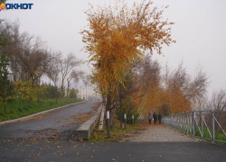 Когда волгоградцы попрощаются с тепловой аномалией ноября