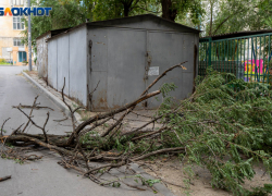 Новый пик ураганного ветра движется на Волгоград со стороны Краснодара