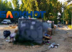 «Здесь дохлые голуби и крысы размером с лошадь!»: гранд-свалку возле детсада требуют убрать в Волгограде