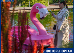 Найдено сногсшибательное место для осенних фотосессий в Волгограде