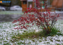 Пасмурно и снег: прогноз погоды на первую неделю зимы в Волгограде 