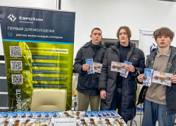 Стабильное будущее и высокий доход