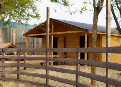 Лань сбежала из живого уголка в Волгограде 