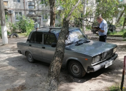 Дерево рухнуло на припаркованную «семерку» в Кировском районе Волгограда