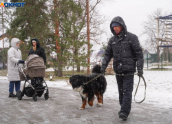 Потепление до +4 и коварный лед под лужами: синоптики сохранили желтый уровень опасности для Волгограда