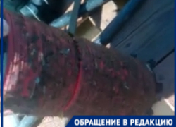 Волгоградские фермеры рассказали, как в дикую жару воюют за поливную воду