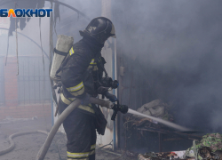 «Собаки заживо горят!»: страшный пожар в волгоградском приюте попал на видео