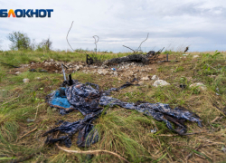 25 лет тюрьмы на двоих получили закопавшие гостя на дачном участке волгоградцы 