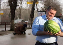 Стало известно, какие зарплаты получают сотрудники аппарата губернатора Волгоградской области