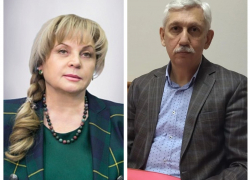 Волгоградский экс-депутат потребовал отставки главы Центризбиркома Эллы Памфиловой