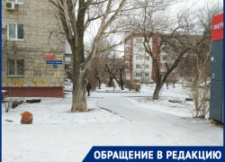 "Старую снесли, новую не поставили": мамы и дети ждут транспорт под дождем и снегом в Волгограде