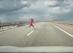 Из реанимации перевели в Волгограде 10-летнюю, вбежавшую под машину