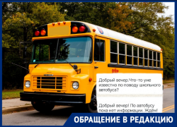 «Уволились, чтобы возить детей»: несколько поселков оставили без школьного автобуса в Волгограде
