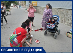Чипированная собака покусала мать с сыном на глазах прохожих в Волгограде
