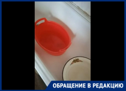 «Кто-то газоны поливает, а нам попить нечего»: поселок под Волгоградом вторую неделю мучается без воды