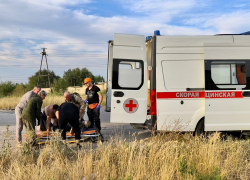 В канаве в камышах нашли пропавшую женщину под Волгоградом