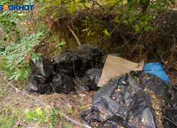 Мэрия Волгограда аврально убирает свалки в двух районах