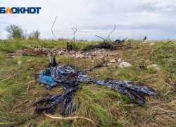 Закопавшая заживо свою мать волгоградка отправилась в тюрьму 