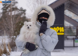 Скромный снегопад, скользкие дороги и геомагнитная встряска: погода в Волгограде на 21 января