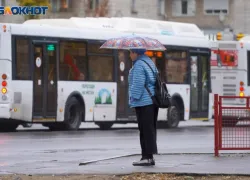 В Волгограде с 10 апреля объявили сезон дачных автобусов