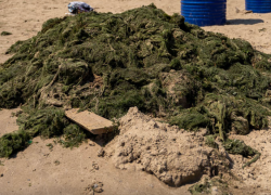 Тела убитых братьев нашли в реке в Волгограде