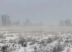 Выбилась из сил и упала в сугроб: под Волгоградом замерзающую спасли из гранд-пурги