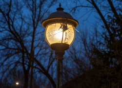 Волгоградский подросток разбил фонарь в парке, красуясь перед друзьями