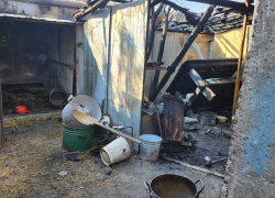 Собаки погибли при пожаре в приюте на 500 голов под Волгоградом