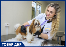 Анализ крови за 15 мин. в ветцентре ЛАПА