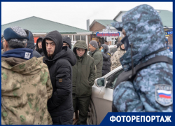 «Они подчиняются только президенту»: предновогодний рейд по мигрантам навел шума на рынке в Волгограде