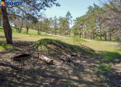 Чиновники рассказали, как будут предотвращать пожары в Волгоградской области 