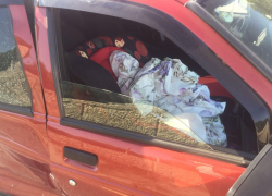 В Волгоградской области 15 детей пострадали в ДТП 