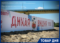 Каждую пятницу и субботу для прекрасных дам с 20:00 до 23:00  вход БЕСПЛАТНЫЙ!