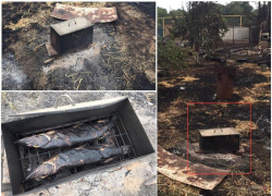 Спалил два дома, летнюю кухню и постройки: волгоградец коптил рыбу