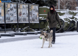 Туманные перспективы нарисовали синоптики Волгограду на 2 февраля