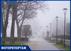 Волгоград с утра заволокло туманом
