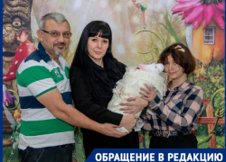 В Волгограде дорога от ЖК «Родниковая долина» разрежет на две части участок многодетной семьи