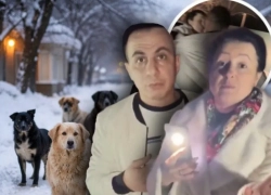 Владелица приюта объявила о роспуске 200 собак в Волгограде