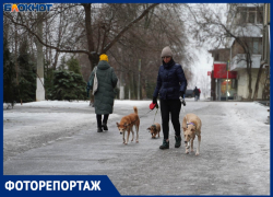 Игра на выживание: Волгоград готовится к удару, который уже шокировал москвичей 