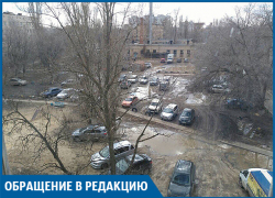 Пришли и ушли: как проверили жалобу на дебоширящих у отдела полиции волгоградцев