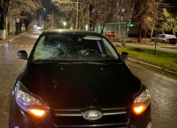 В Волгоградской области под колеса автомобиля попали четыре человека 