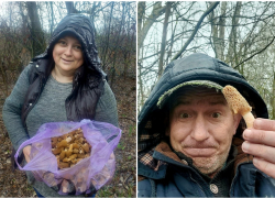 Грибной сезон открыли урожаем «трюфеля для бедных» отчаянные волгоградцы