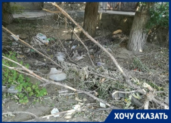 На свалку из пивных стаканов и веток от пивбара «три четверочки» жалуется волгоградка